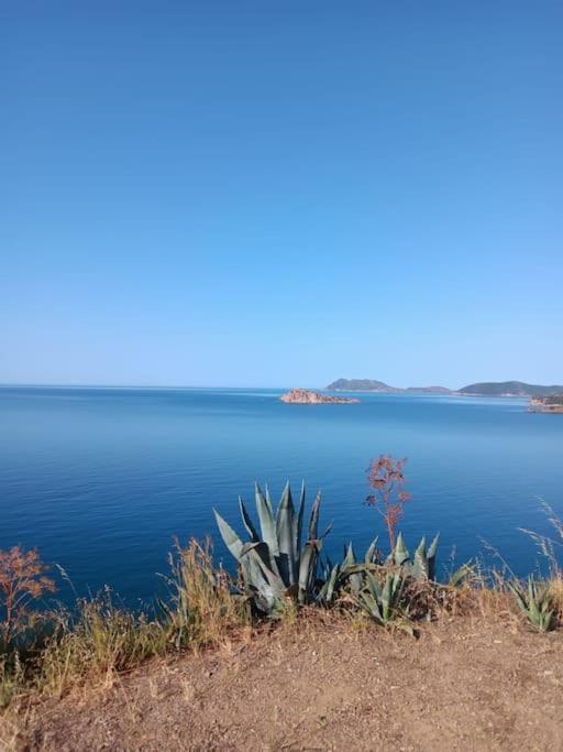 Gli Appartamenti Di Francuzzo เตวลาดา ภายนอก รูปภาพ